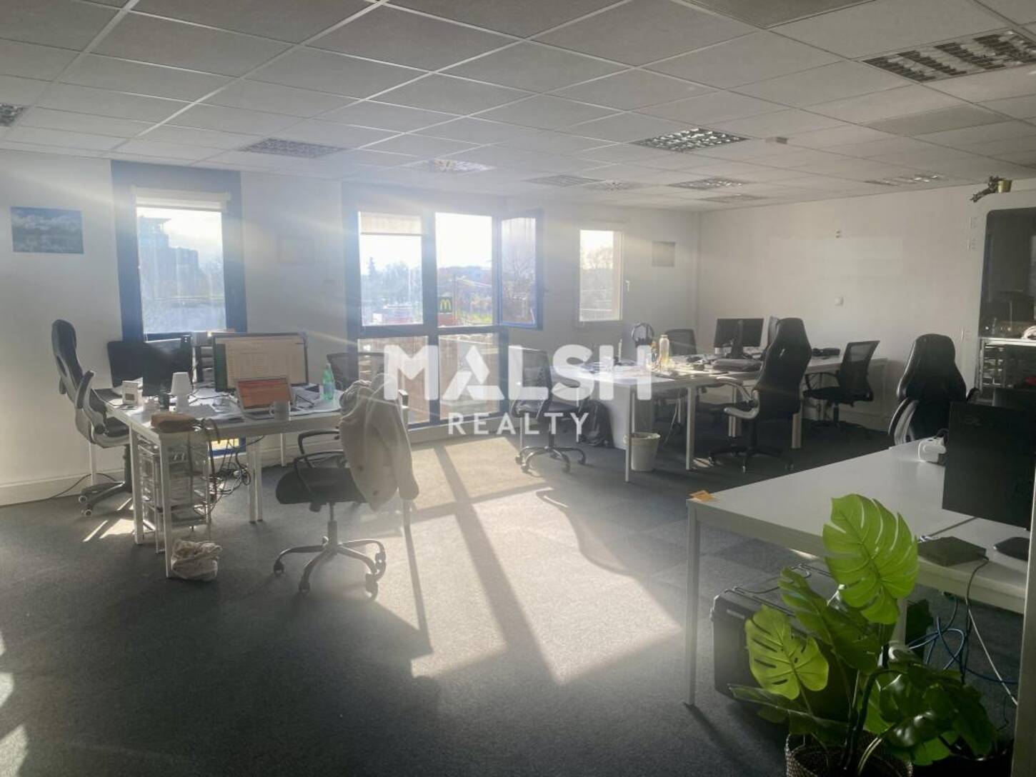 MALSH Realty & Property - Bureau - Lyon 7° / Gerland - Lyon 7 - 2