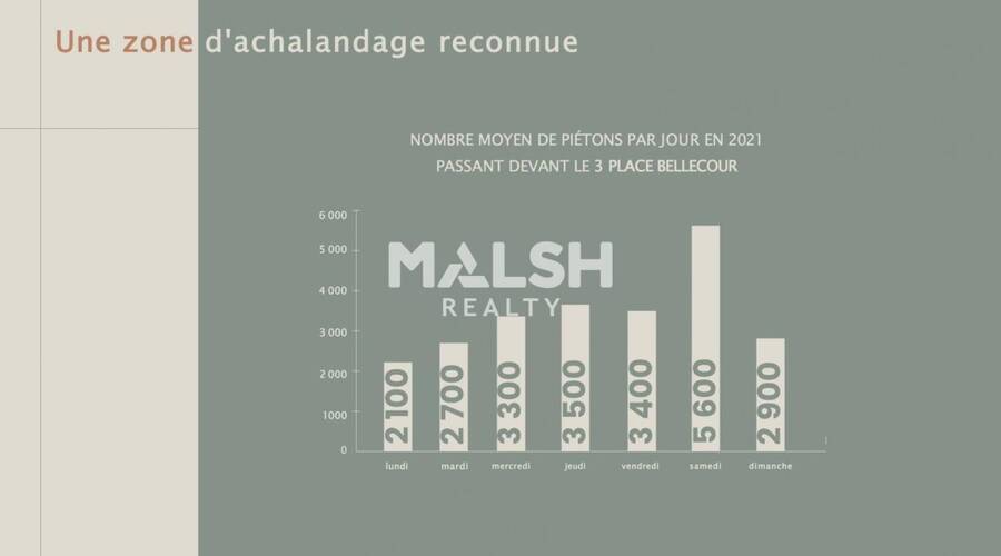 MALSH Realty & Property - Bureau - Lyon - Presqu'île - Lyon 2 - 3