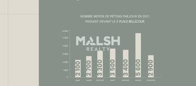 MALSH Realty & Property - Bureau - Lyon - Presqu'île - Lyon 2 - 3