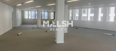 MALSH Realty & Property - Bureau - Carré de Soie / Grand Clément / Bel Air - Vaulx-en-Velin - 3