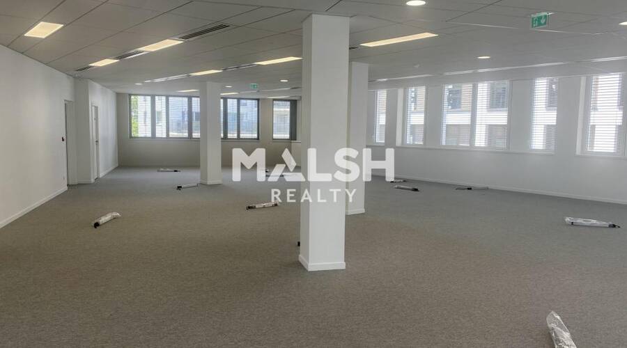 MALSH Realty & Property - Bureau - Carré de Soie / Grand Clément / Bel Air - Vaulx-en-Velin - 3