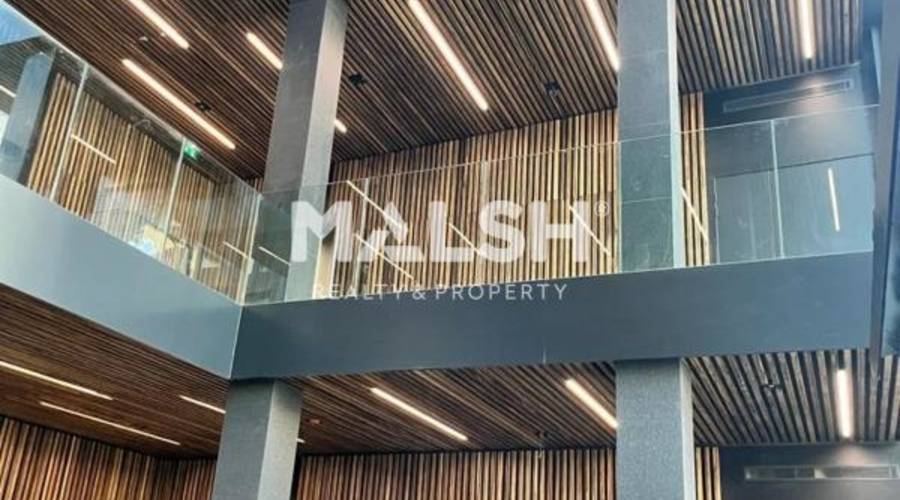 MALSH Realty & Property - Bureaux - Lyon 7° / Gerland - Lyon 7 - 7