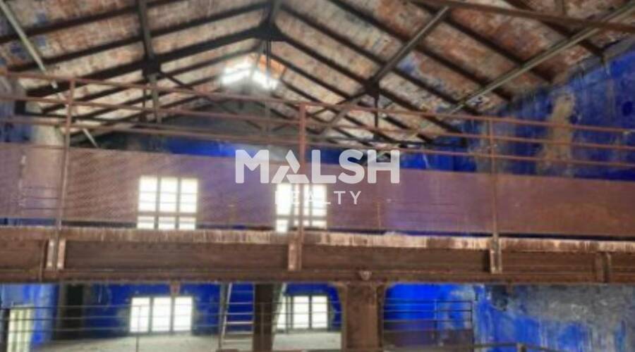 MALSH Realty & Property - Bureau - Plateau Nord / Val de Saône - Fleurieu-sur-Saône - 5