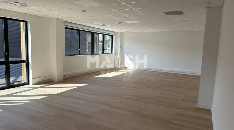MALSH Realty & Property - Local d'activités - Nord Isère ( Ile d'Abeau / St Quentin Falavier ) - Saint-Quentin-Fallavier - 5