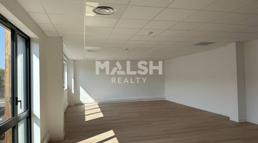 MALSH Realty & Property - Local d'activités - Nord Isère ( Ile d'Abeau / St Quentin Falavier ) - Saint-Quentin-Fallavier - 6