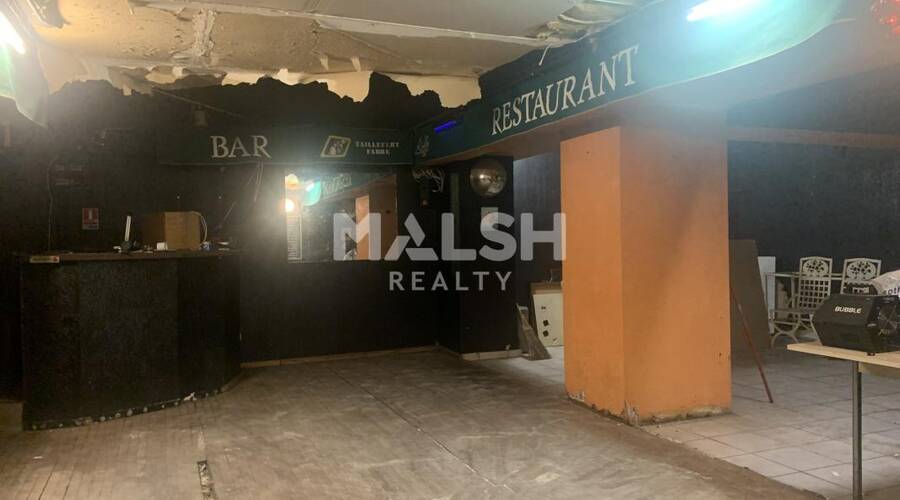 MALSH Realty & Property - Local commercial - Carré de Soie / Grand Clément / Bel Air - Villeurbanne - 5