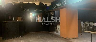 MALSH Realty & Property - Local commercial - Carré de Soie / Grand Clément / Bel Air - Villeurbanne - 5