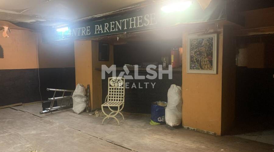 MALSH Realty & Property - Local commercial - Carré de Soie / Grand Clément / Bel Air - Villeurbanne - 6