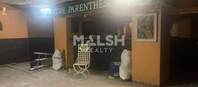 MALSH Realty & Property - Local commercial - Carré de Soie / Grand Clément / Bel Air - Villeurbanne - 6