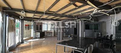 MALSH Realty & Property - Local commercial - Plateau Nord / Val de Saône - Caluire-et-Cuire - 4
