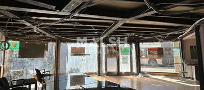 MALSH Realty & Property - Local commercial - Plateau Nord / Val de Saône - Caluire-et-Cuire - 9