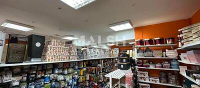 MALSH Realty & Property - Local commercial - Carré de Soie / Grand Clément / Bel Air - Villeurbanne - 2