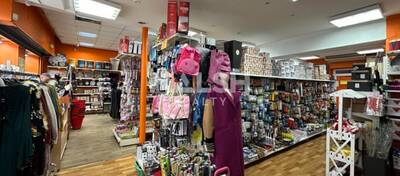 MALSH Realty & Property - Local commercial - Carré de Soie / Grand Clément / Bel Air - Villeurbanne - 3