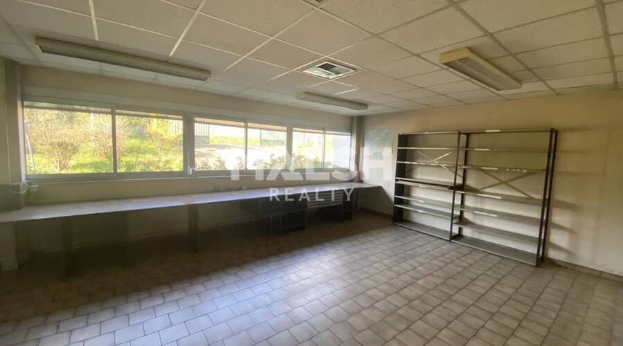 MALSH Realty & Property - Local d'activités - Saône et Loire (71) - Berzé-la-Ville - 11