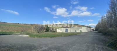 MALSH Realty & Property - Local d'activités - Saône et Loire (71) - Berzé-la-Ville - 29