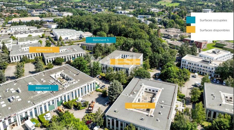 MALSH Realty & Property - Local d'activités - Lyon Nord Ouest (Techlid / Monts d'Or) - Limonest - 11