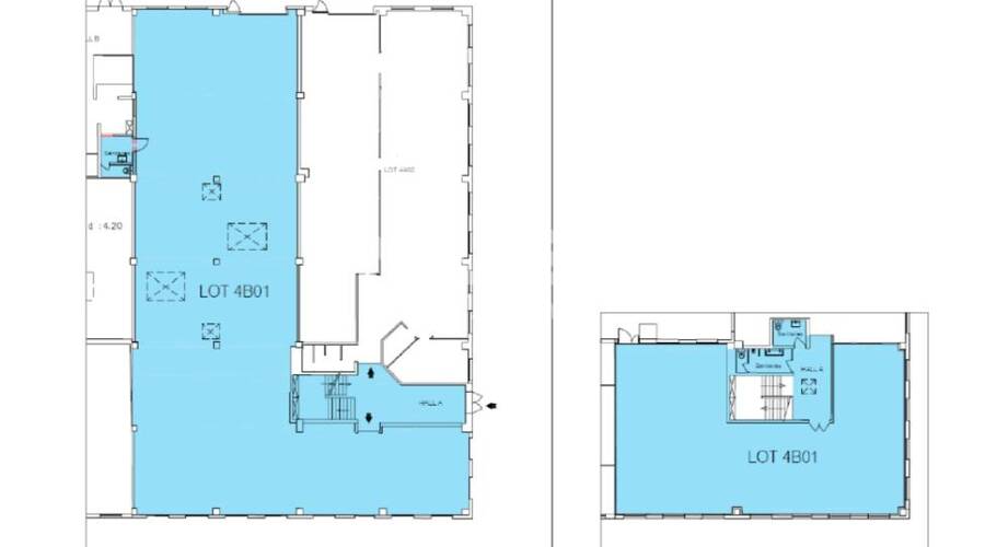 MALSH Realty & Property - Local d'activités - Lyon Nord Ouest (Techlid / Monts d'Or) - Limonest - 15