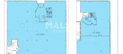 MALSH Realty & Property - Local d'activités - Lyon Nord Ouest (Techlid / Monts d'Or) - Limonest - 18