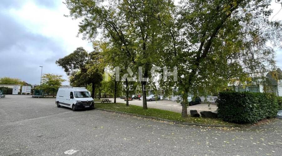 MALSH Realty & Property - Local d'activités - Lyon EST - Saint-Priest - 12