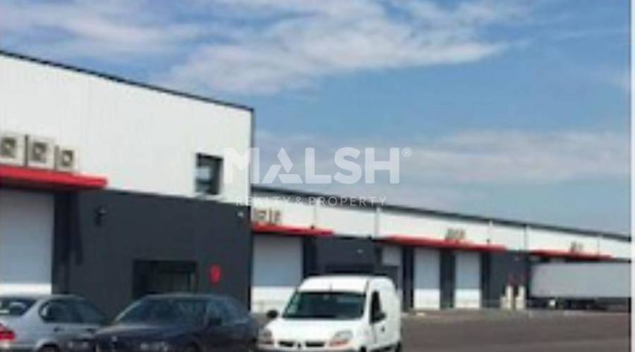 MALSH Realty & Property - Bureaux - Nord Isère ( Ile d'Abeau / St Quentin Falavier ) - Saint-Quentin-Fallavier - 10