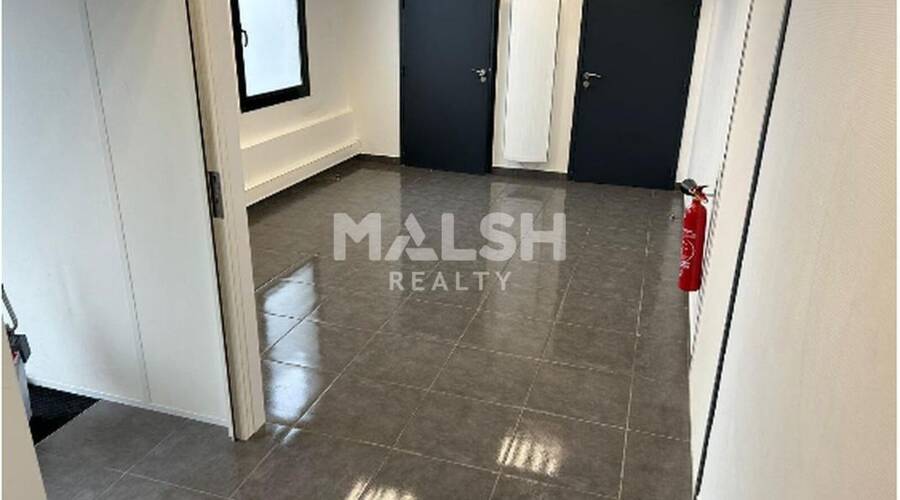 MALSH Realty & Property - Local d'activités - Nord Isère ( Ile d'Abeau / St Quentin Falavier ) - Saint-Quentin-Fallavier - 6