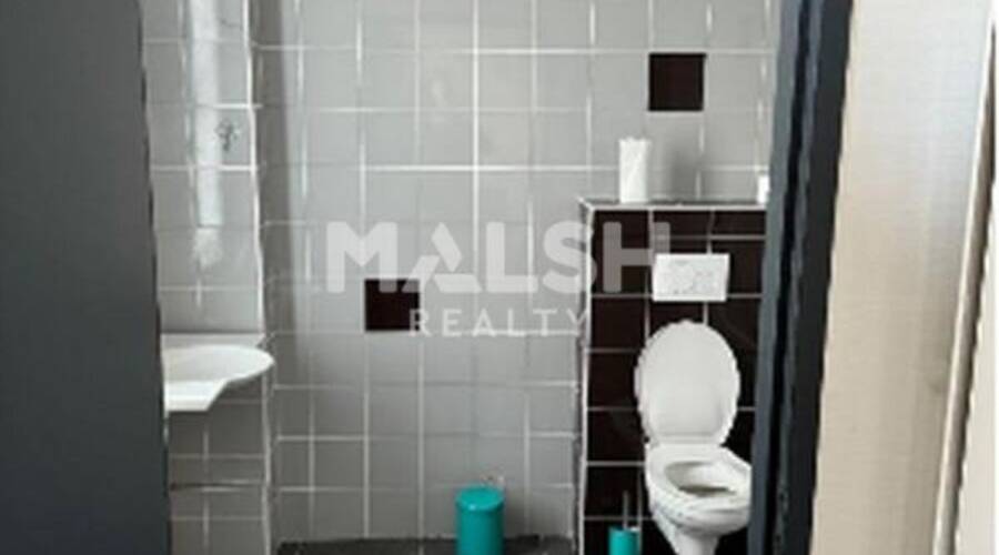 MALSH Realty & Property - Local d'activités - Nord Isère ( Ile d'Abeau / St Quentin Falavier ) - Saint-Quentin-Fallavier - 7