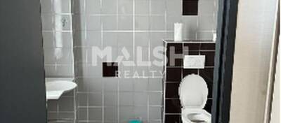 MALSH Realty & Property - Local d'activités - Nord Isère ( Ile d'Abeau / St Quentin Falavier ) - Saint-Quentin-Fallavier - 7