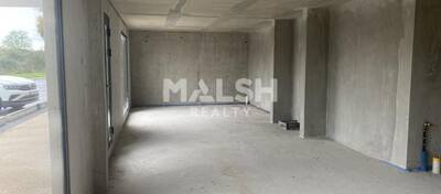 MALSH Realty & Property - Local commercial - Nord Isère ( Ile d'Abeau / St Quentin Falavier ) - Charvieu-Chavagneux - 5