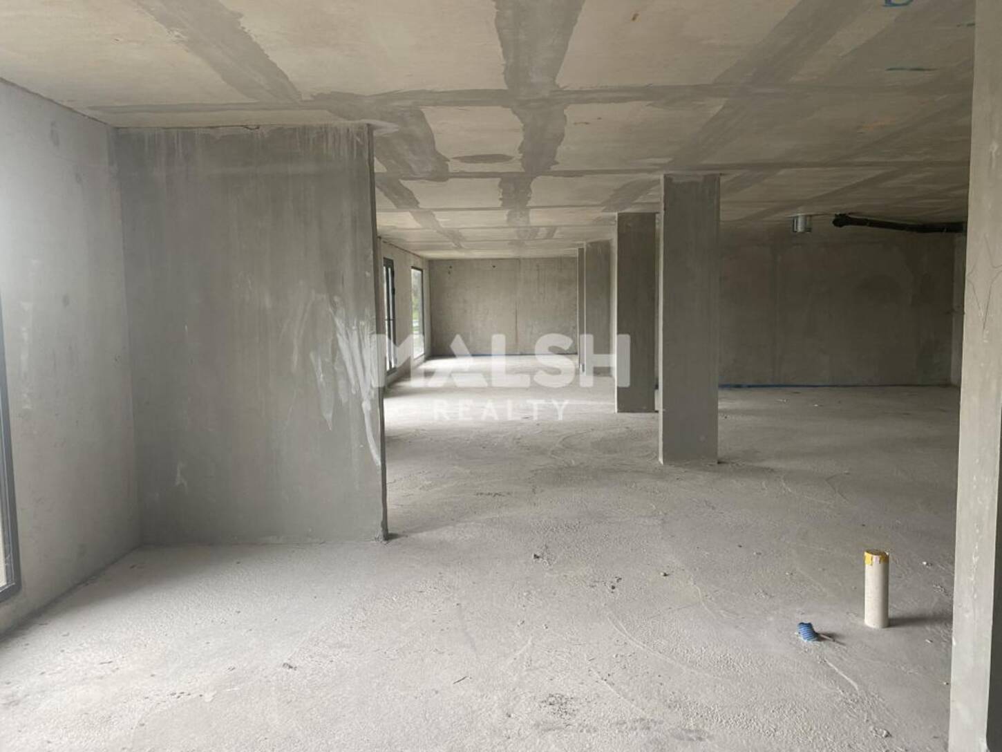 MALSH Realty & Property - Local commercial - Nord Isère ( Ile d'Abeau / St Quentin Falavier ) - Charvieu-Chavagneux - 2