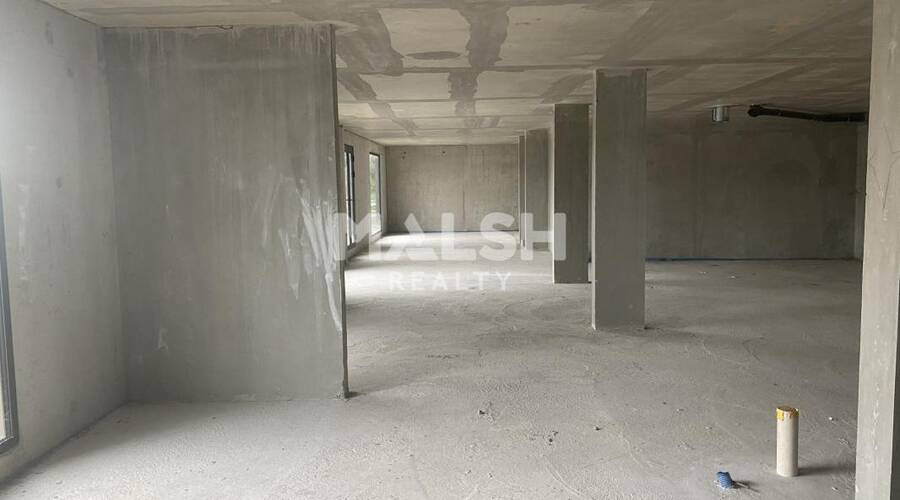 MALSH Realty & Property - Local commercial - Nord Isère ( Ile d'Abeau / St Quentin Falavier ) - Charvieu-Chavagneux - 2