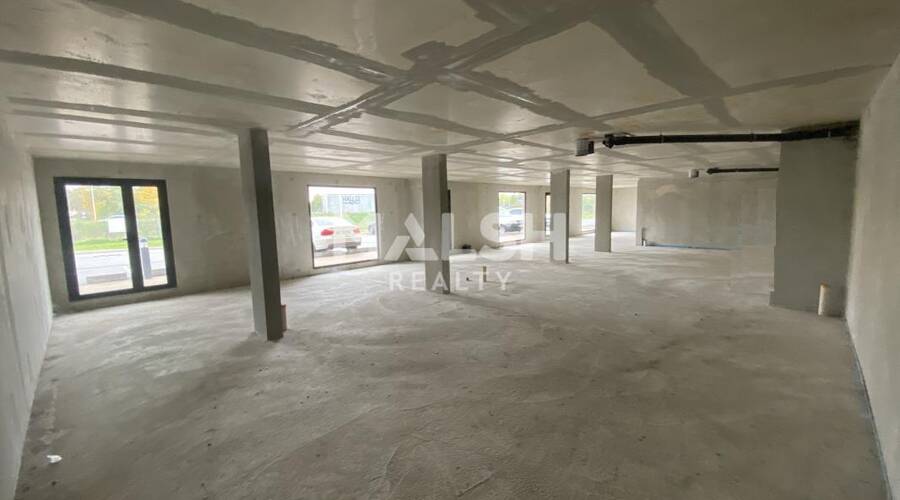 MALSH Realty & Property - Local commercial - Nord Isère ( Ile d'Abeau / St Quentin Falavier ) - Charvieu-Chavagneux - 6