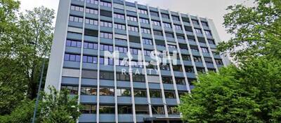 MALSH Realty & Property - Bureau - Carré de Soie / Grand Clément / Bel Air - Villeurbanne - 1