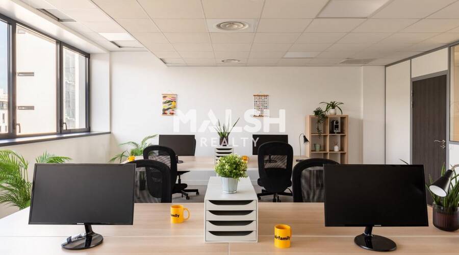 MALSH Realty & Property - Bureau - Carré de Soie / Grand Clément / Bel Air - Villeurbanne - 2