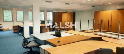 MALSH Realty & Property - Bureaux - Lyon Nord Ouest (Techlid / Monts d'Or) - Écully - 5