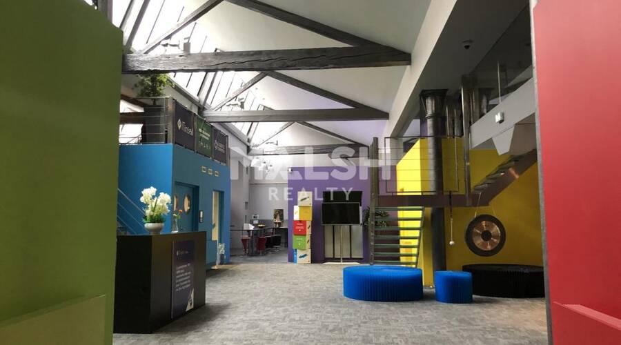 MALSH Realty & Property - Local commercial - Lyon 6° - Lyon 6 - 2