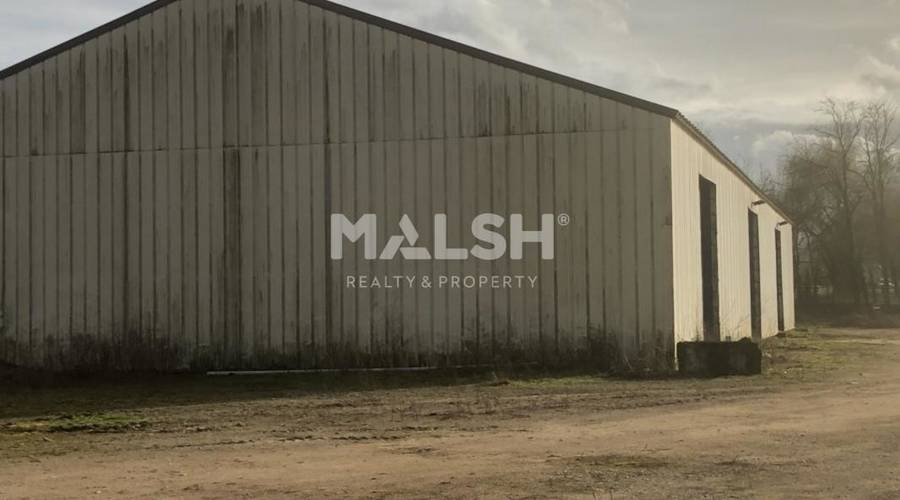 MALSH Realty & Property - Activité - Laiz - 5