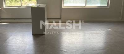 MALSH Realty & Property - Activité - Plateau Nord / Val de Saône - Fleurieu-sur-Saône - 4