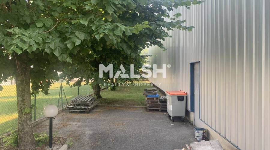 MALSH Realty & Property - Bureaux - Nord Isère ( Ile d'Abeau / St Quentin Falavier ) - Saint-Quentin-Fallavier - 14