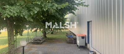 MALSH Realty & Property - Bureaux - Nord Isère ( Ile d'Abeau / St Quentin Falavier ) - Saint-Quentin-Fallavier - 14