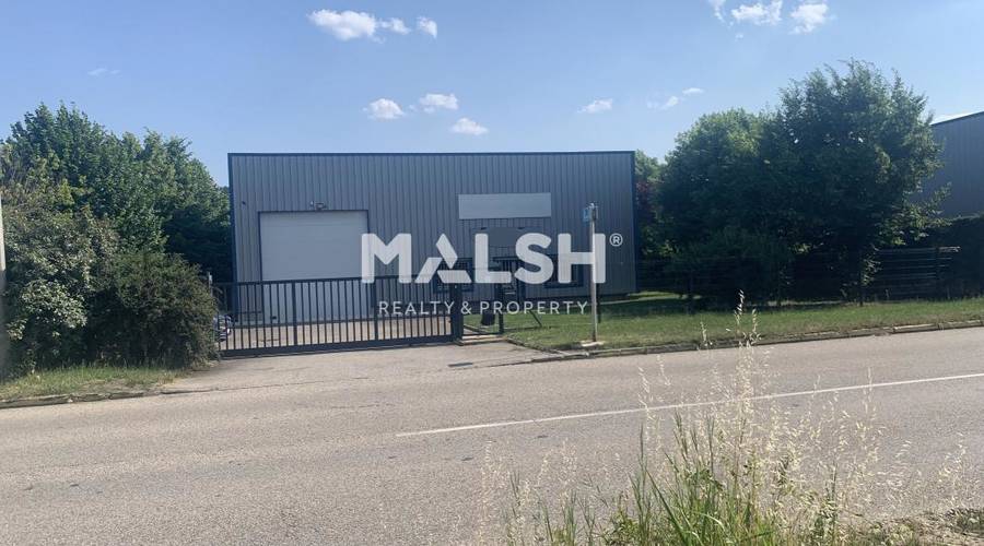 MALSH Realty & Property - Bureaux - Nord Isère ( Ile d'Abeau / St Quentin Falavier ) - Saint-Quentin-Fallavier - 15