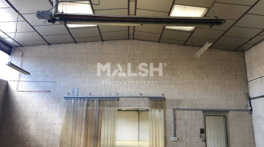 MALSH Realty & Property - Activité - Lyon EST (St Priest /Mi Plaine/ A43 / Eurexpo) - Genay - 6
