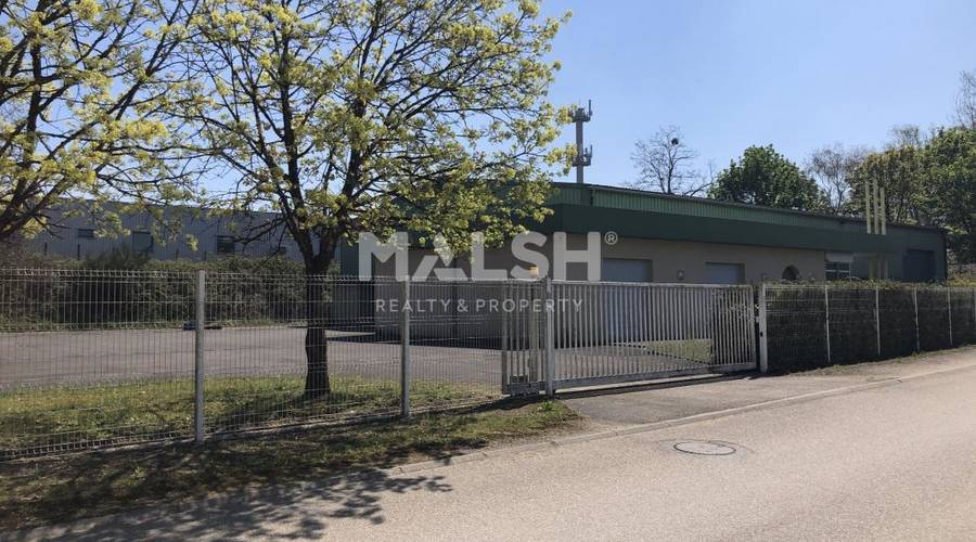 MALSH Realty & Property - Activité - Extérieurs NORD (Villefranche / Belleville) - Péronnas - 41