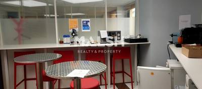 MALSH Realty & Property - Bureaux - Lyon Nord Ouest (Techlid / Monts d'Or) - Tassin-la-Demi-Lune - 4