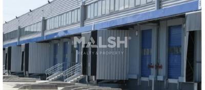 MALSH Realty & Property - Logistique - Nord Isère ( Ile d'Abeau / St Quentin Falavier ) - Saint-Quentin-Fallavier - 1