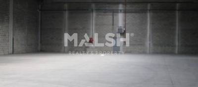MALSH Realty & Property - Logistique - Nord Isère ( Ile d'Abeau / St Quentin Falavier ) - Saint-Quentin-Fallavier - 4