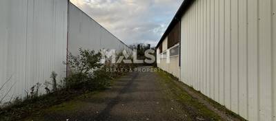 MALSH Realty & Property - Activité - Plaine de l'Ain - Pérouges - 15