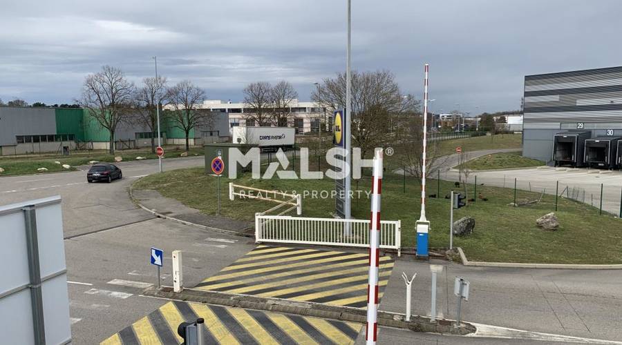 MALSH Realty & Property - Bureaux - Nord Isère ( Ile d'Abeau / St Quentin Falavier ) - Saint-Quentin-Fallavier - 26