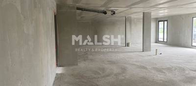 MALSH Realty & Property - Commerce - Nord Isère ( Ile d'Abeau / St Quentin Falavier ) - Charvieu-Chavagneux - 4