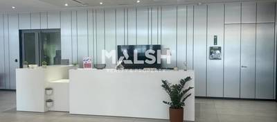 MALSH Realty & Property - Bureaux - Carré de Soie / Grand Clément / Bel Air - Vaulx-en-Velin - 9