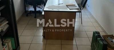 MALSH Realty & Property - Activité - Villeurbanne / Tête d'Or - Villeurbanne - 8